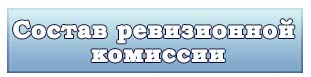 Состав ревизионной
